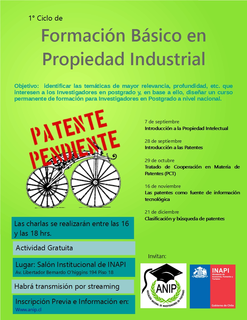 Afiche-Curso-INAPI