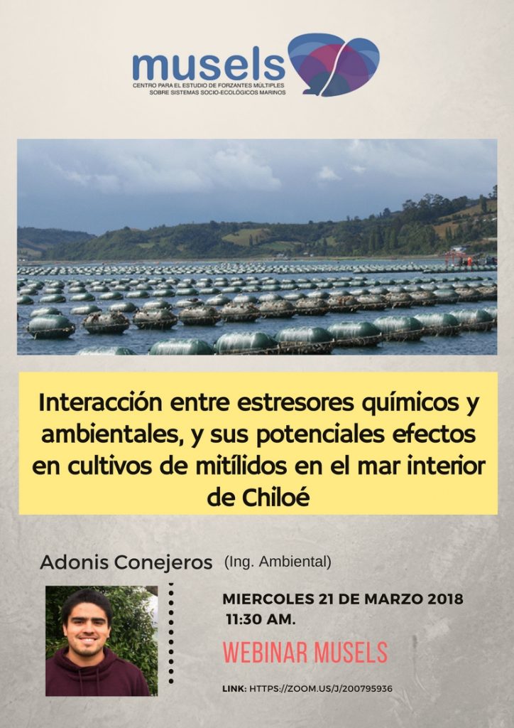 webinar-marzo